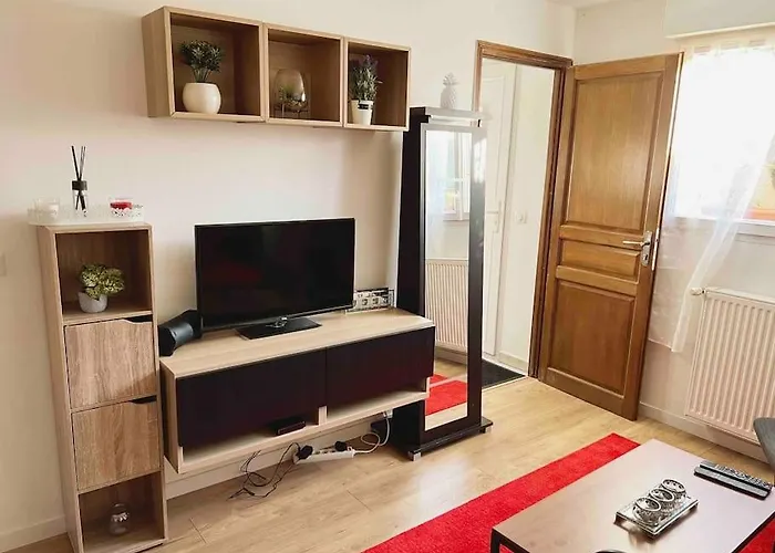 Appartement Ensoleille A 15 Minutes De Paris